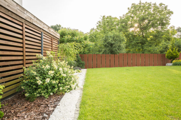 Abdeckkappe Streifen-Douglasie (500 x 35 mm) – Bild 7
